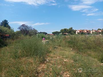 Terreno agricolo nel quartiere Collinaia (LI)