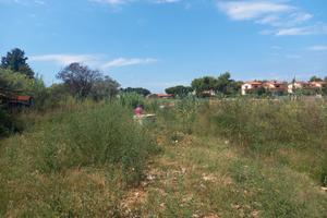 Terreno agricolo nel quartiere Collinaia (LI)