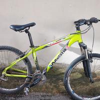 Bicicletta Mountain Bike Whistle