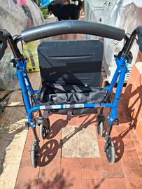 Carrello deambulatore