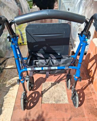 Carrello deambulatore