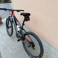 bicicletta elettrica