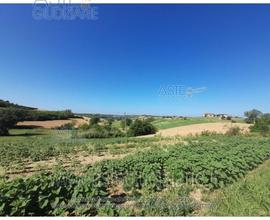 Terreno Agricolo Calliano [A4284740]