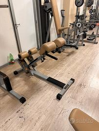 attrezzi isotonici technogym