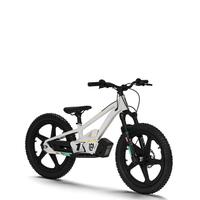 Bicicletta elettrica EE1.20