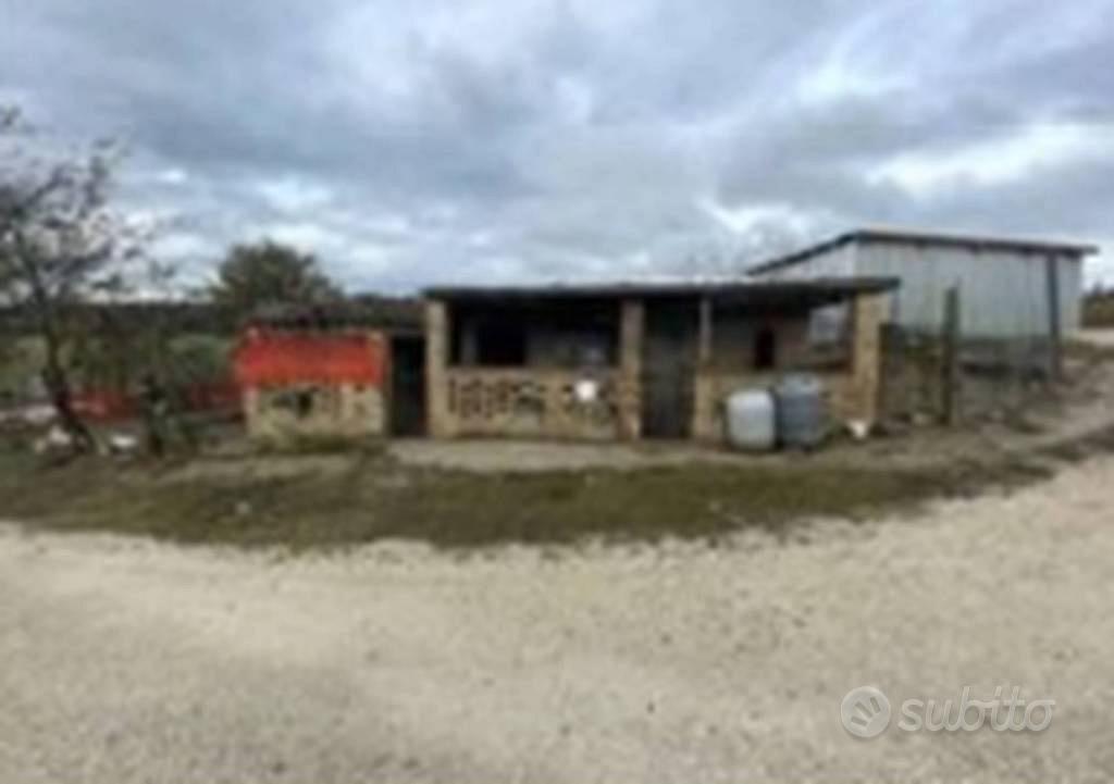 Immobile in asta di 112465 m² a Montottone - Vista 4