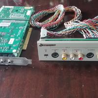 Canopus raptor scheda acquisizione montaggio video