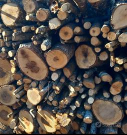 Legna disponibile secca