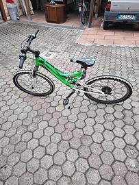 Bicicletta da ragazzo