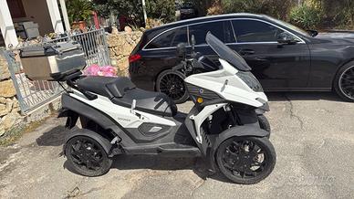 Qooder Qooder - 2019