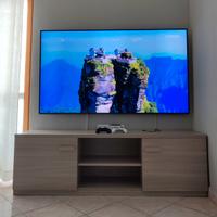 Mobile Tv 