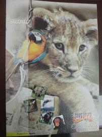 Folder 2003 "ZOOSAFARI Fasanolandia" - nuovo