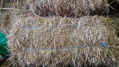 Paglia di grano in ballette