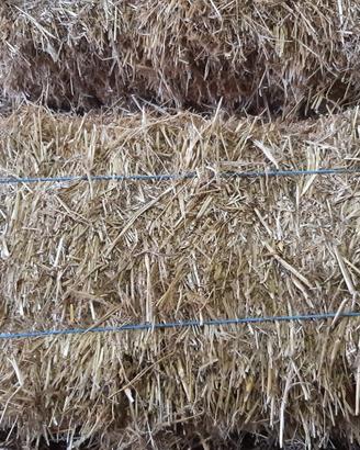 Paglia di grano in ballette