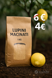 LUPINI MACINATI NATURALI