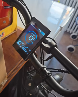 Bici elettrica 