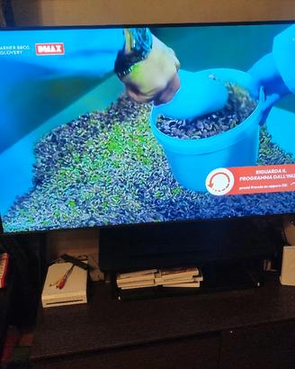 TV Samsung 43 pollici plasma  con piedistallo 
