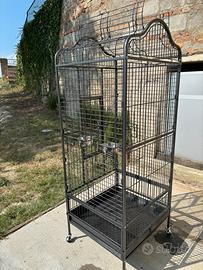 Gabbia per Volatili