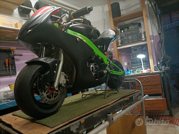 Minimoto professionale pasini