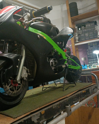 Minimoto professionale pasini