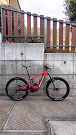 Santa Cruz Heckler
