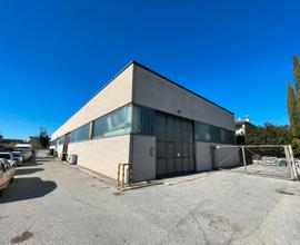 Capannone industriale commerciale Maratta