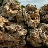 Pietre abbellimento esterni e palme