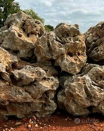 Pietre abbellimento esterni e palme