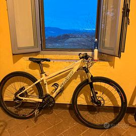 MBT Specialized Rockhopper Expert 17"