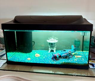 ACQUARIO TETRA Starter Line