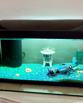 ACQUARIO TETRA Starter Line
