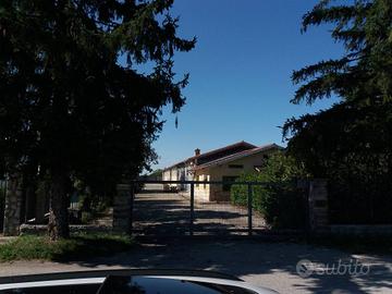 CAPANNONE ZONA ARTIGIANALE di PROSECCO