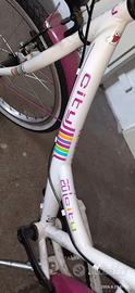 Bicicletta ragazza 20 pollici