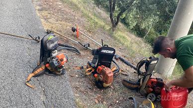 Decespugliatori Echo a spalla RM 4000-5000