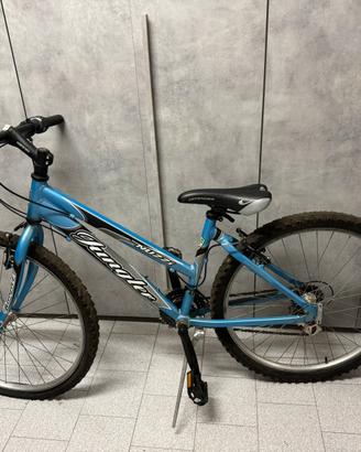 Bici Nuzzi Jungler