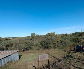 Terreno agricolo zona Ardea