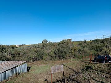 Terreno agricolo zona Ardea