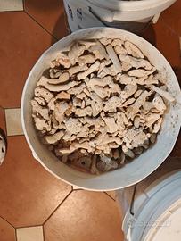 attrezzatura acqaurio