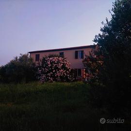 La casa in collina