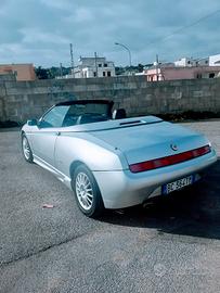 alfa romeo spider