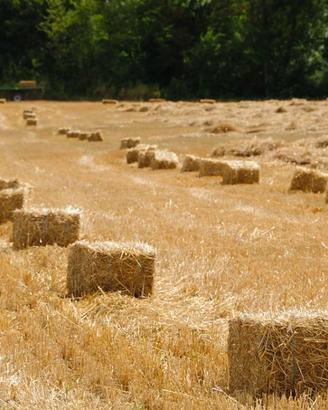 BALLE DI PAGLIA 