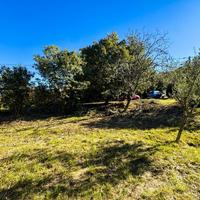 Rif.582| terreno agricolo muggia