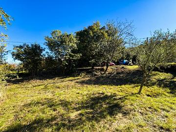 Rif.582| terreno agricolo muggia