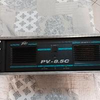 CASSA PASSIVA E AMPLIFICATORE PEAVEY