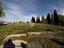 Immagine 11