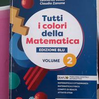 tutti i colori della matematica 