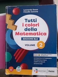 tutti i colori della matematica 