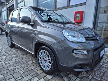 Fiat Panda 1.0 Hybrid FireFly S&S 70 CV