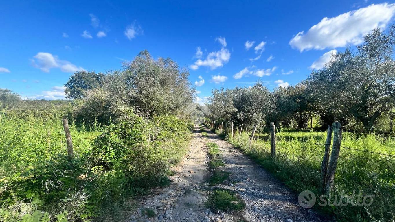 TER. RESIDENZIALE A TREVIGNANO ROMANO - Vista 4