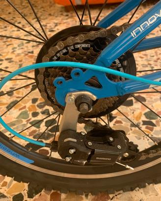 bicicletta geroni nuova